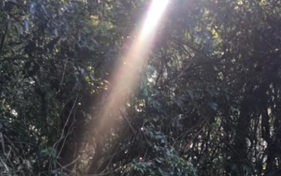 É preciso poesia
